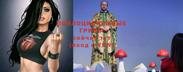 Альфа ПВП Алексин
