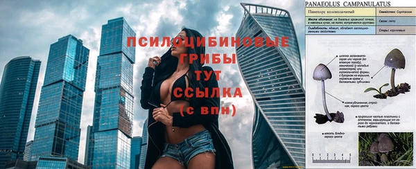 героин Армянск